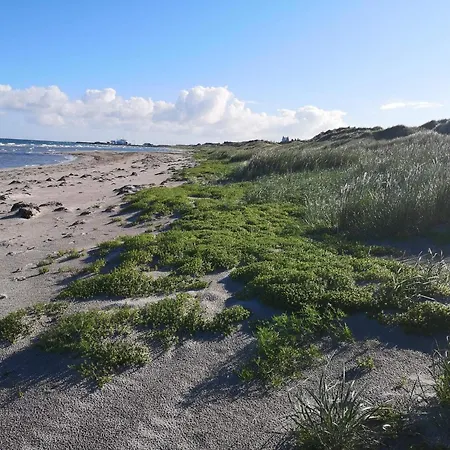 8 Person In Laeso-by Traum