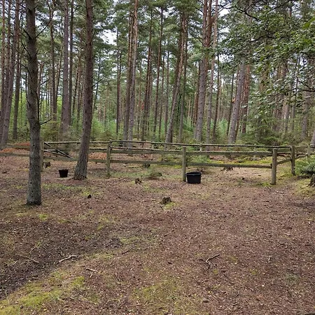 8 Person In Laeso-by Traum *