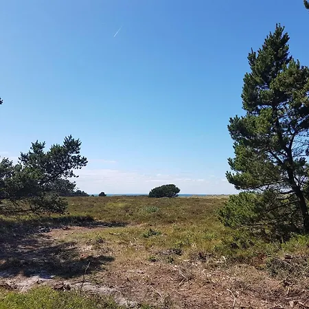 8 Person In Laeso-by Traum