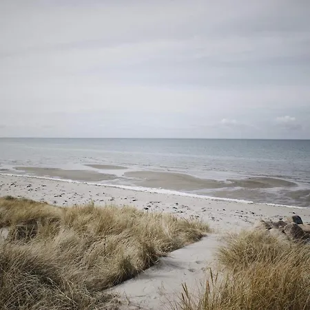 5 Star In Læsø