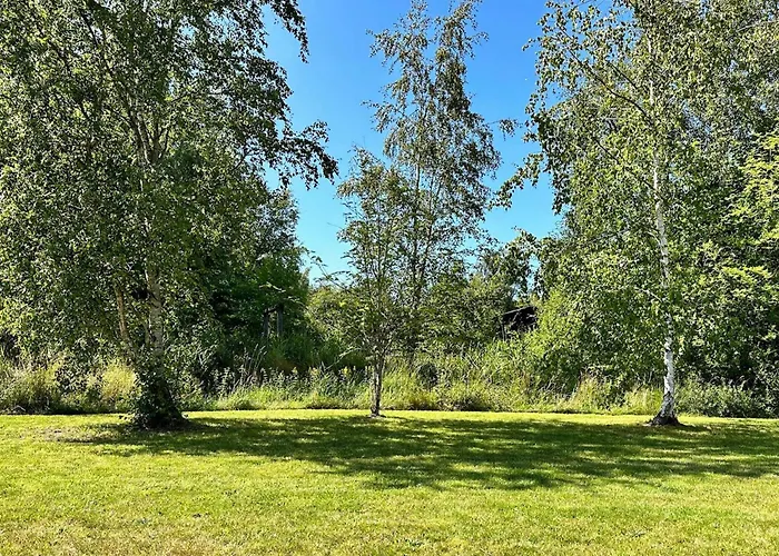 8 Person In Laeso-by Traum